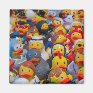 Imã Patos de borracha no traje