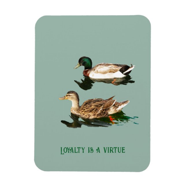 Ímã Patos-de-pata (Vertical)