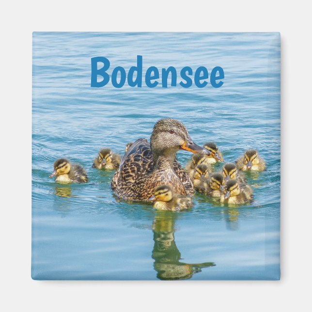 Imã Patos do Bodensee com Patinhos (Frente)