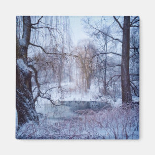 Imã Patos na lagoa congelada A no Central Park de New