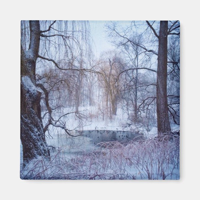 Imã Patos num galo congelado no Parque Central de Nova (Frente)