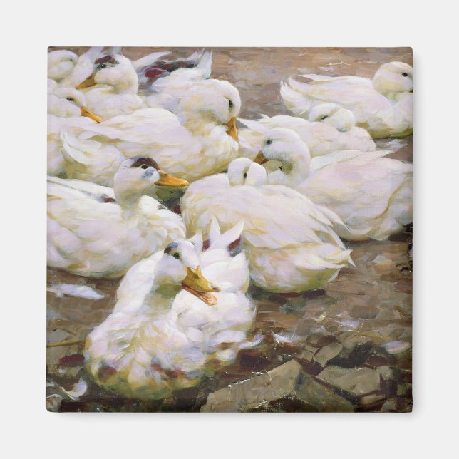 Imã Patos num lago (Frente)