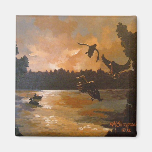 Imã Patos Se Fixando No Magnet (Frente)