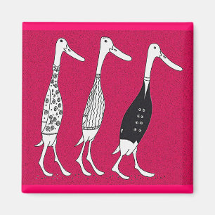 Imã Patos vestidos
