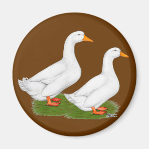 Imã Patos: White Pekins