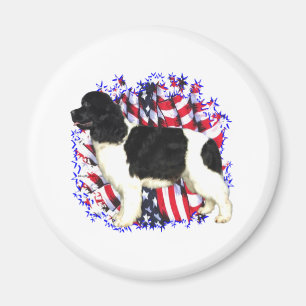 Imã Patriota de Terra Nova (landseer)