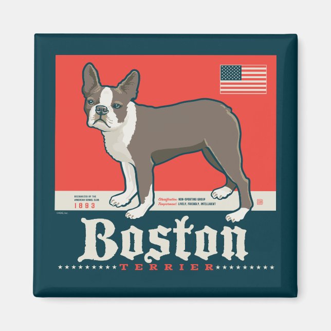 Imã Patriótico | Boston Terrier (Frente)