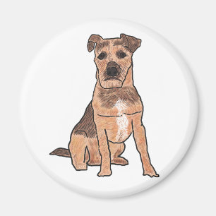 Imã Patterdale Terrier