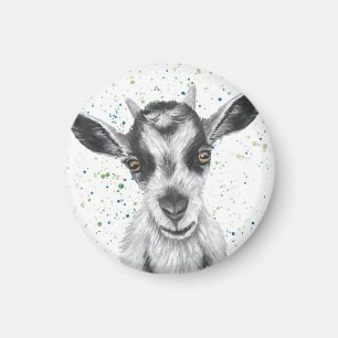 Imã Patty Goat