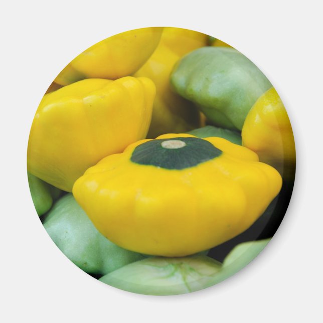 Imã Pattypan Squash (Frente)