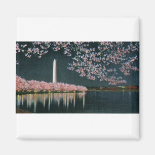 Imã PAU42 Washington em Night.tif
