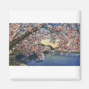 Imã PAU43 Tidal Basin.tif