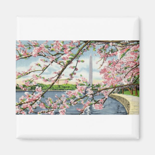 Imã PAU45 Washington Monument 2.tif (Frente)