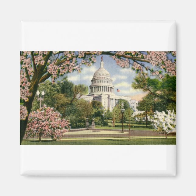 Imã PAU46 US Capitol.tif (Frente)