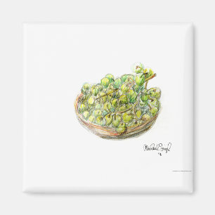 Imã PAU55 fruta 2.tif