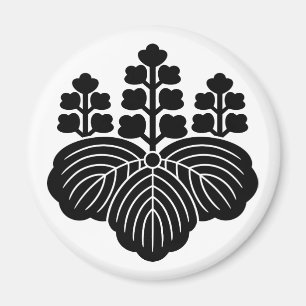 Imã Paulownia com 5-7 flores