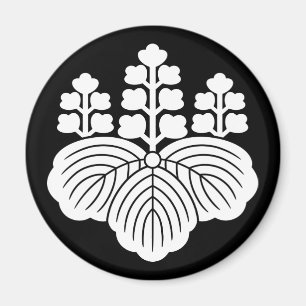 Imã Paulownia com 5-7 flores