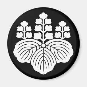 Imã Paulownia com 5-7 florescências