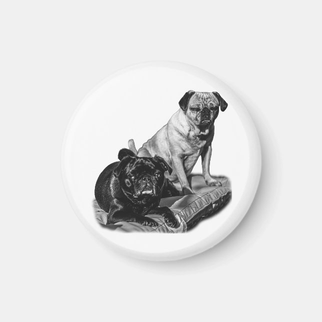 Imã Pausa Pug, Ímã Sombreado (Frente)