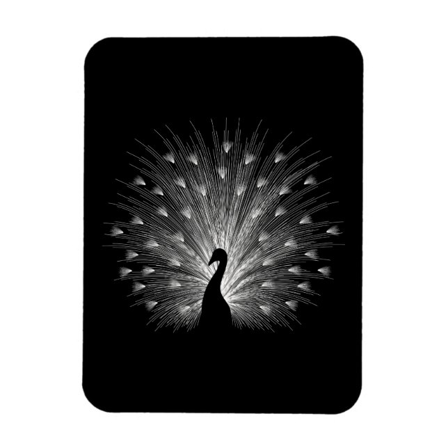 Ímã Pavão branco (Vertical)