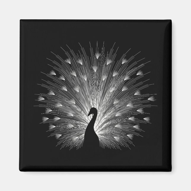 Imã Pavão branco (Frente)