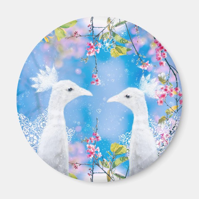 Imã Pavão branco e sakura florescente / Amor romântico (Frente)
