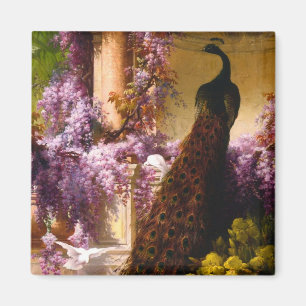 Imã Pavão e pombos em jardim