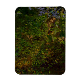 Ímã Pavão na floresta