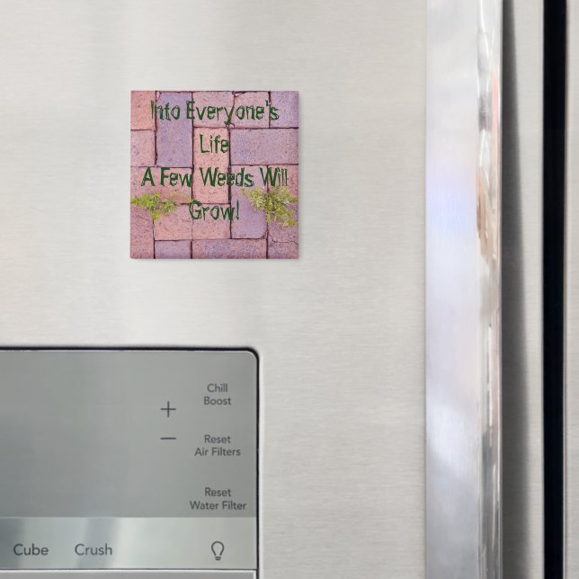 Imã Paving Stones Weeds Em Foto De Caminho Personaliza (In Situ (Fridge))