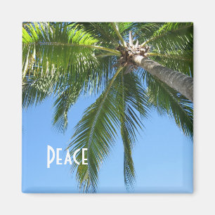 Imã Paz