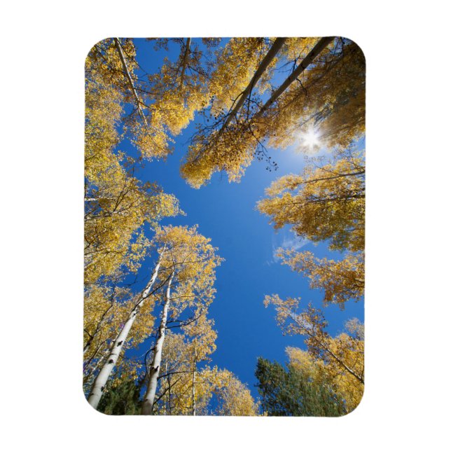 Ímã Paz e serenidade no Aspen (Vertical)