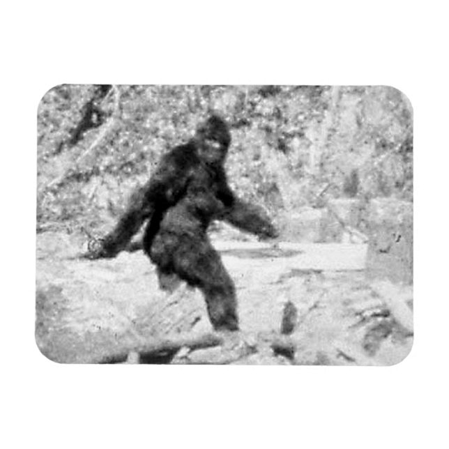 Ímã Pé Grande (Horizontal)