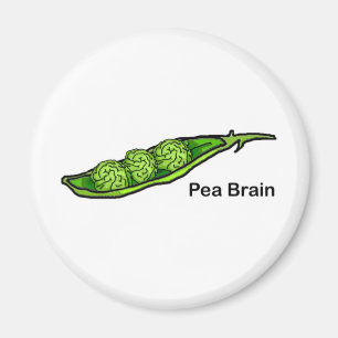 Imã Pea Brain