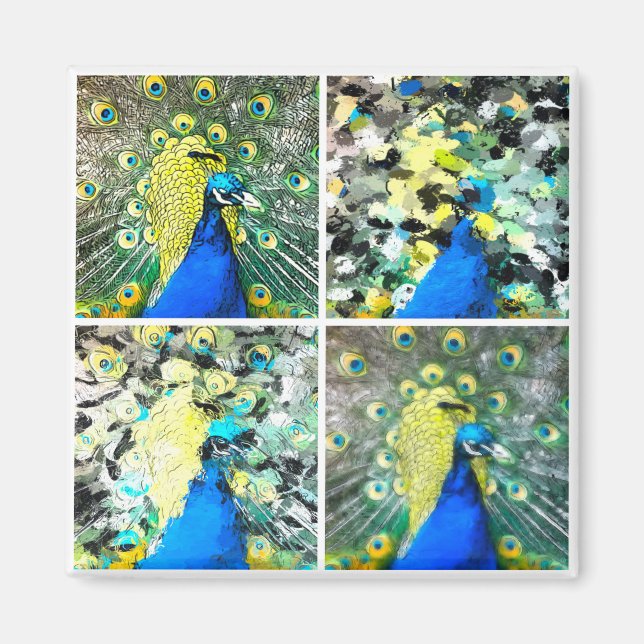 Imã Peacock Art (Frente)