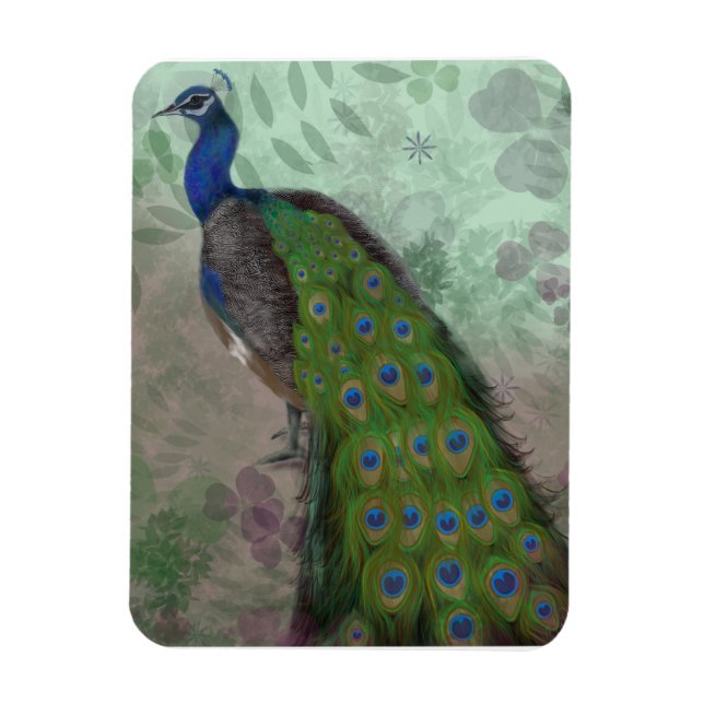 Ímã Peacock bonito (Vertical)