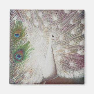 Imã Peacock Branco e Impressão de arte de Pavão Verde