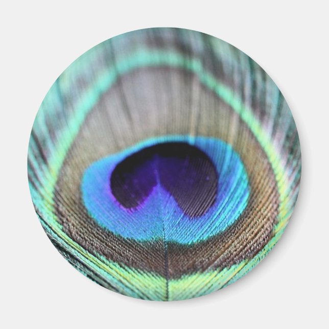 Imã Peacock Feather (Frente)