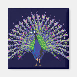 Imã Peacock Magnets