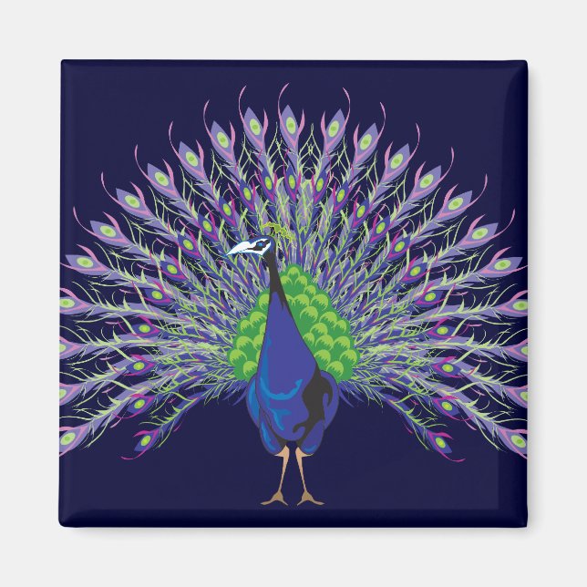 Imã Peacock Magnets (Frente)
