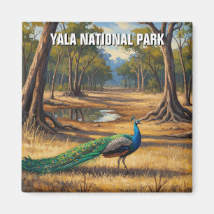 Imã Peacock no Sri Lanka Viagem do Parque Nacional de