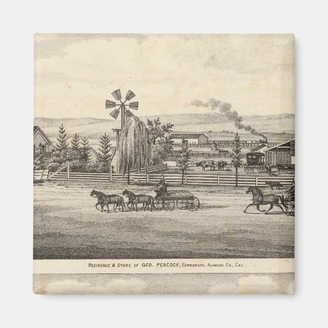 Imã Peacock res, Willow Glen (Frente)