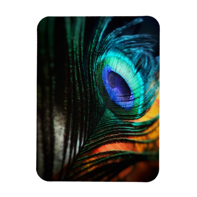 Ímã Peakcock Feather de perto e pessoal (Vertical)