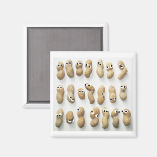 Imã Peanutty Magnet