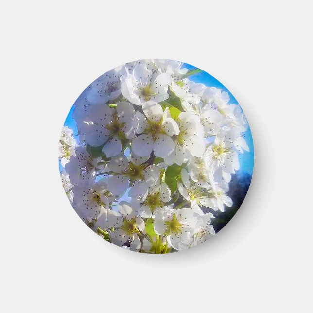 Imã Pear Blossoms (Frente)