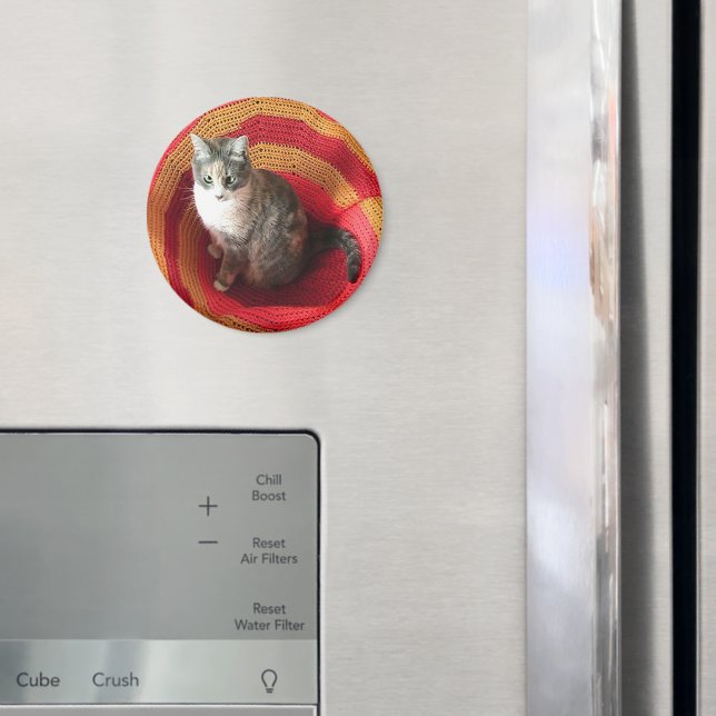 Imã Pearl Cat no Afeganistão (In Situ (Fridge))