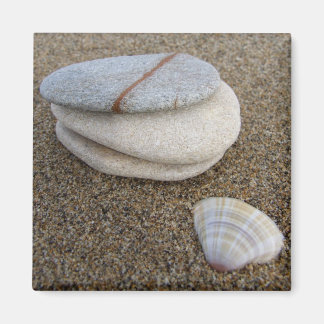 Imã Pebble Shell Magnet