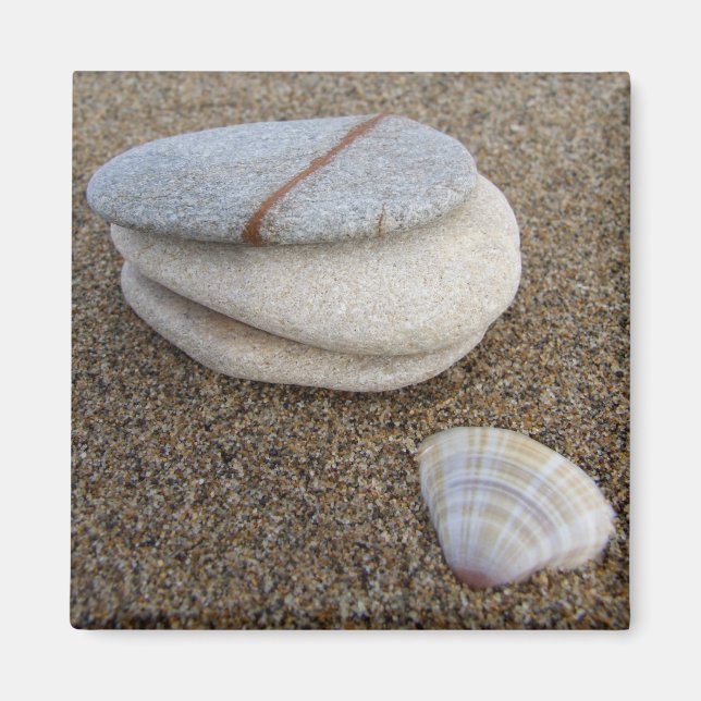 Imã Pebble Shell Magnet (Frente)