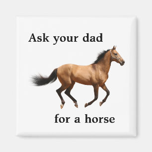 Imã Peça seu pai um ímã do cavalo