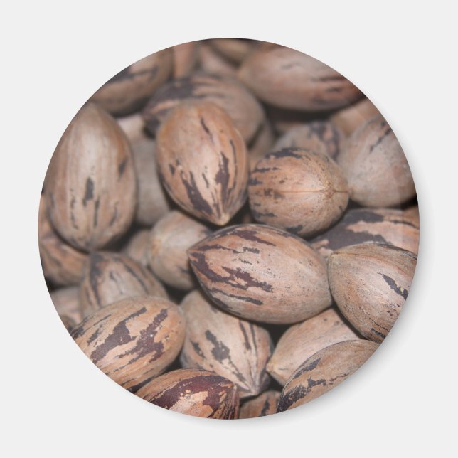 Imã Pecan Magnet (Frente)