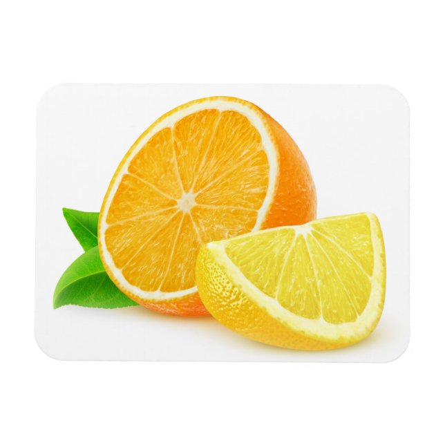 Ímã Peças de laranja e de limão (Horizontal)
